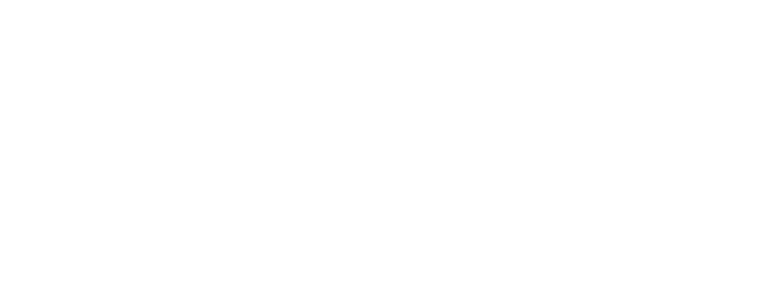 Logo Footer